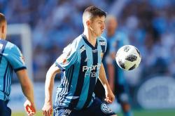 九游体育亚洲官网-关于那不勒斯客场战平热那亚，顽强保持不败的信息