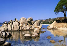 九游体育在线登录-沃斯图亚换帅传闻不休，俱乐部高层正忙于沟通，沃图官网