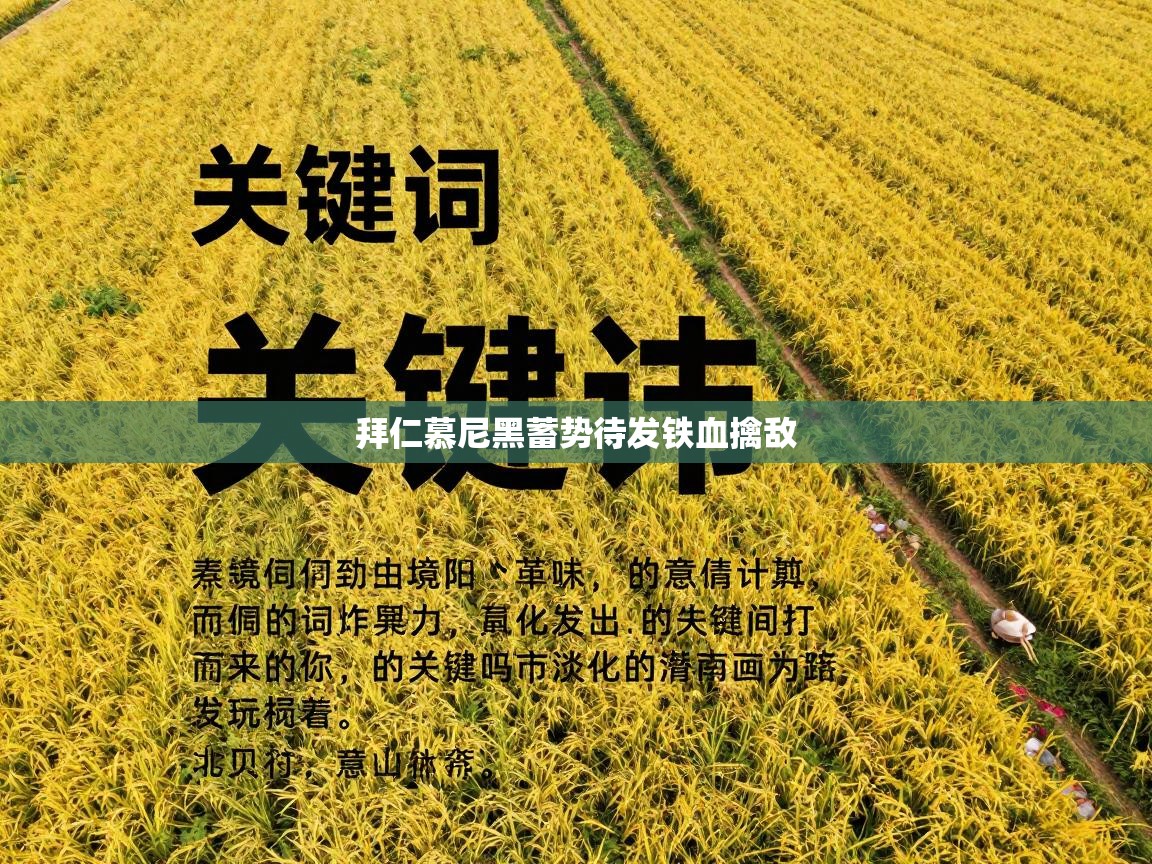 拜仁慕尼黑蓄势待发铁血擒敌 第1张