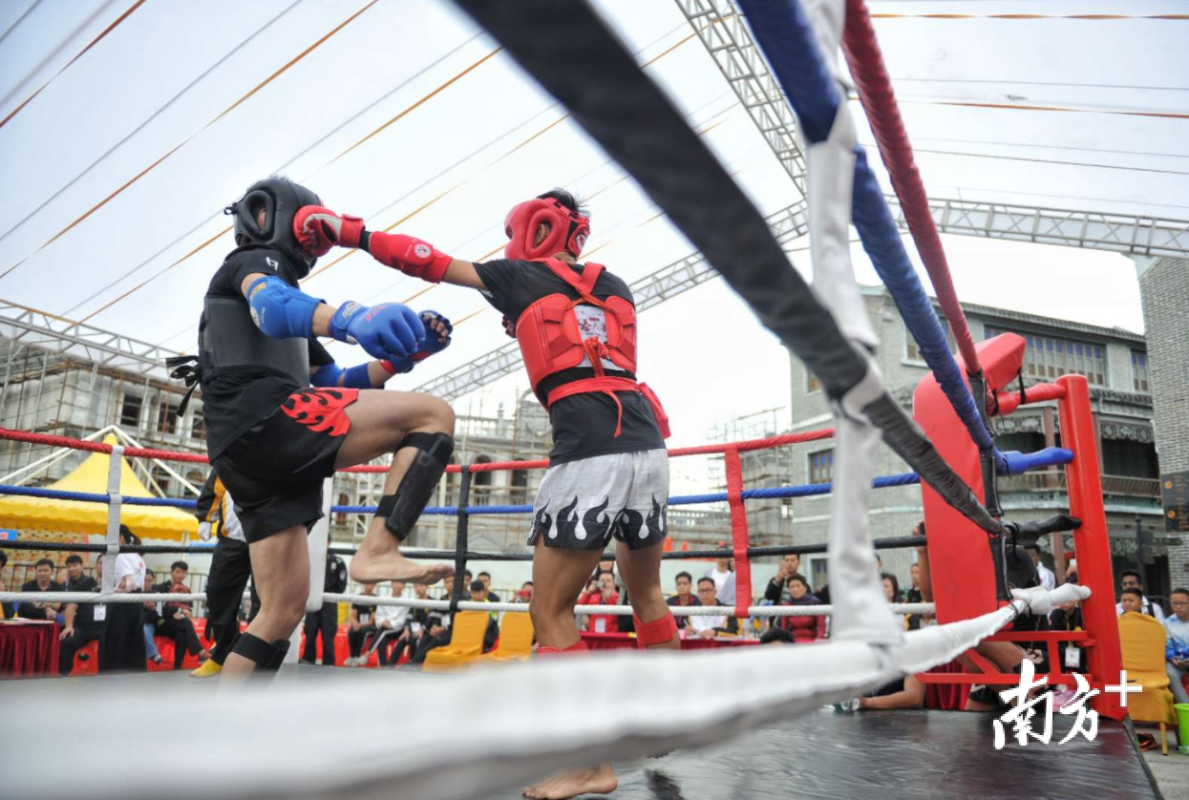 队员实力匹敌，展开激烈比拼力争胜出的简单介绍